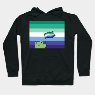 Rana gay male pride Hoodie